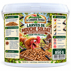 Larves de mouche soldat séchées Sachet – 850 g | Le Comptoir Fermier