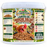 Larves de mouche soldat séchées Sachet – 850 g | Le Comptoir Fermier