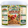 Comptoir Fermier Larve de mouche soldat 1700g
