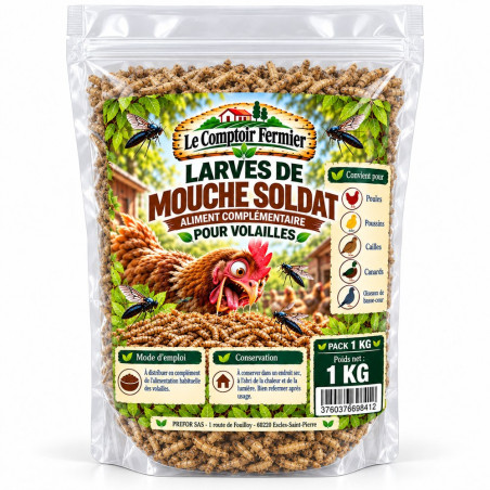 Larves de mouche soldat séchées Sachet – 1 kg | Le Comptoir Fermier